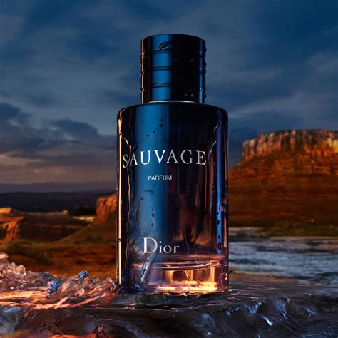 prix sauvage dior parfum|dior sauvage 100ml perfume shop.